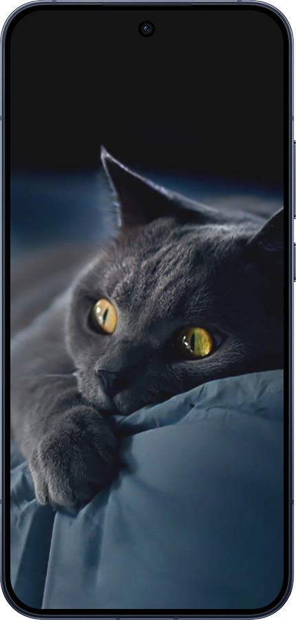 Силіконовий чехол Димчастий кіт для Oppo RENO15 5G - 825u-4201 изображение 