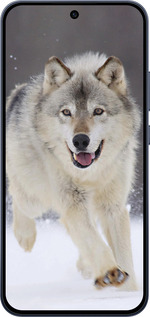 Силиконовый чехол Бегущий волк для Oppo RENO15 F 5G - 826u-4199 изображение 