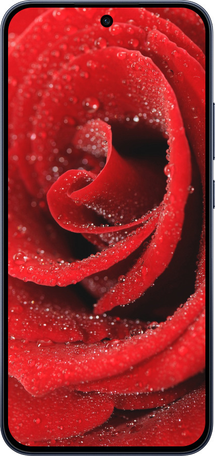 Силиконовый чехол Красная роза для Oppo RENO15 F 5G - 529u-4199 изображение 