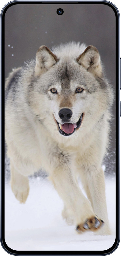 Силиконовый чехол Бегущий волк для Oppo RENO15 F 5G - 826u-4199 изображение 
