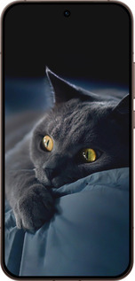 Силиконовый чехол Дымчатый кот для Oppo Reno15 Pro 5G - 825u-4225 изображение 