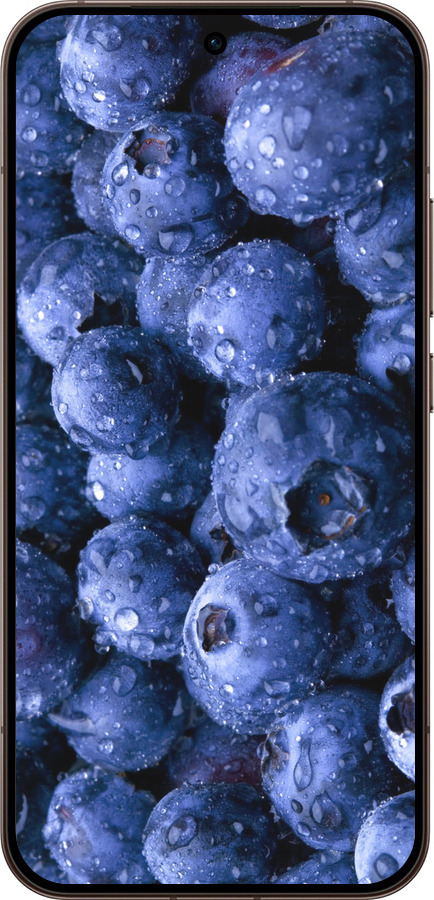 Силиконовый чехол Голубика для Oppo Reno15 Pro 5G - 4459u-4225 изображение 
