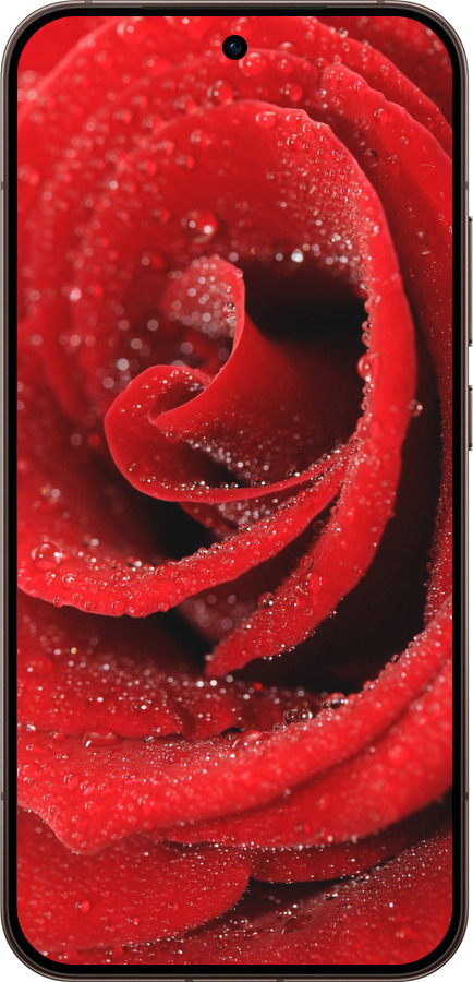 Силіконовий чехол Червона троянда для Oppo Reno15 Pro 5G - 529u-4225 изображение 
