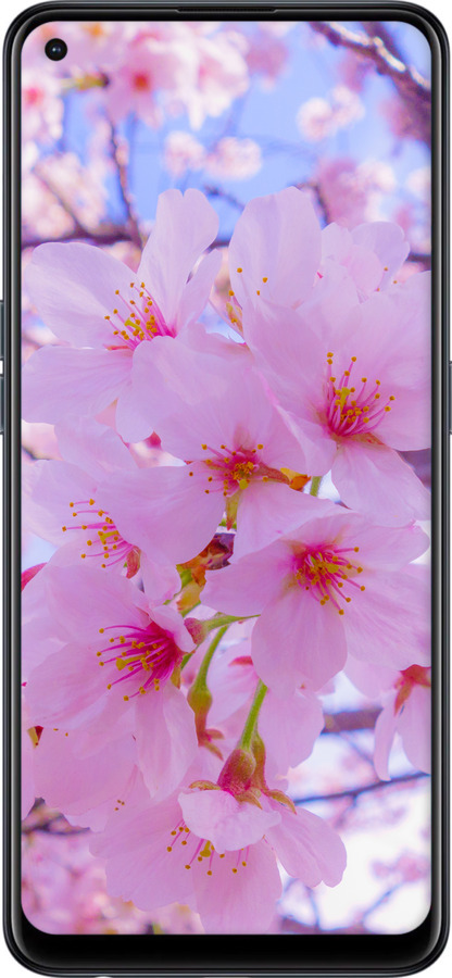 Силіконовий чехол Сакура для Oppo Reno6 Z - 6029u-2477 изображение 