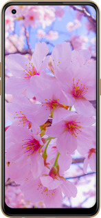 TPU чехол Сакура для Oppo Reno8 T - 6029b-2969 изображение 