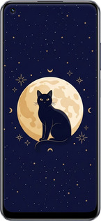 TPU чехол Cute Cat Celestial/Witchy для Realme 10 - 6787b-2946 изображение 