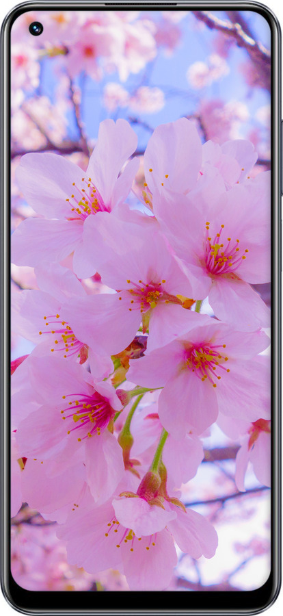 TPU чехол Сакура для Realme 10 - 6029b-2946 изображение 