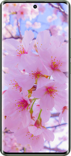 Силіконовий чехол Сакура для Realme 11 Pro - 6029u-3077 изображение 
