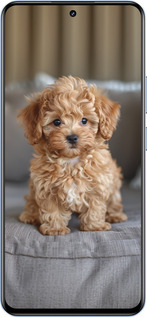 TPU чехол Mini-maltipoo для Realme 12 4G - 6158b-3785 изображение 