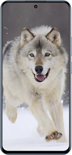TPU чехол Бегущий волк для Realme 12 4G - 826b-3785 изображение 