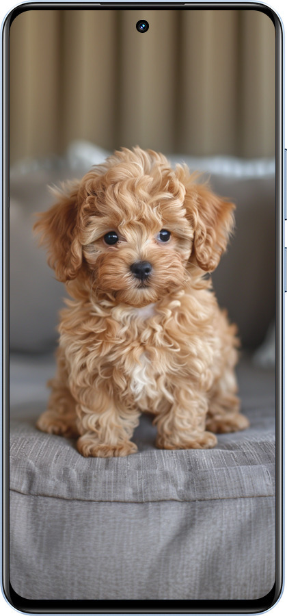 TPU чехол Mini-maltipoo для Realme 12 4G - 6158b-3785 изображение 