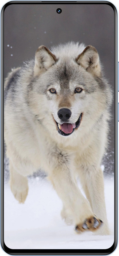 TPU чехол Бегущий волк для Realme 12 4G - 826b-3785 изображение 