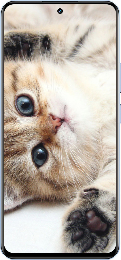 Силиконовый чехол Котик для Realme 12 4G - 6024u-3785 изображение 