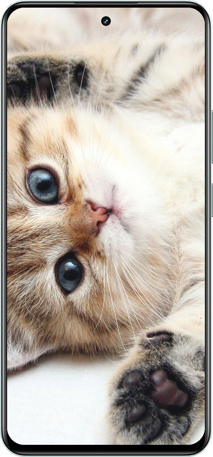 TPU чехол Котик для Realme 12+ - 6024b-3650 изображение 