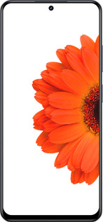 TPU чехол Гербера 1 для Realme 13+ 5G - 4534b-3891 изображение 