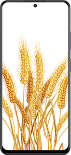 TPU чехол Колоски пшениці для Realme 13+ 5G - 5866b-3891 изображение 