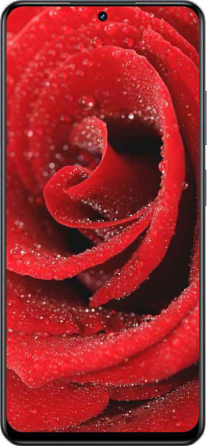 TPU чехол Красная роза для Realme 13+ 5G - 529b-3891 изображение 