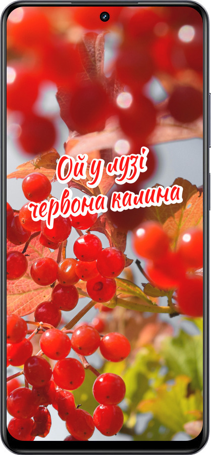 TPU чехол Калина для Realme 13+ 5G - 5454b-3891 изображение 
