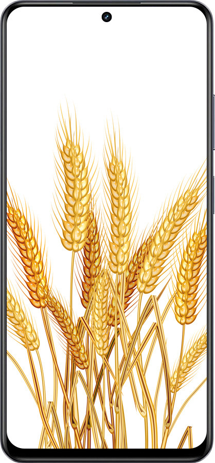 TPU чехол Колоски пшениці для Realme 13+ 5G - 5866b-3891 изображение 