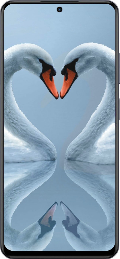 TPU чехол Лебеди для Realme 13+ 5G - 6007b-3891 изображение 