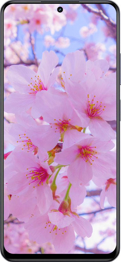 TPU чехол Сакура для Realme 13+ 5G - 6029b-3891 изображение 