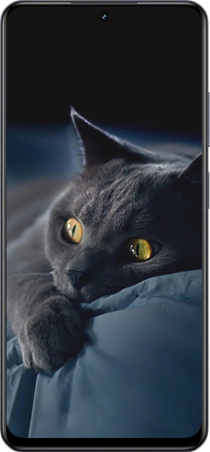 TPU чехол Димчастий кіт для Realme 13+ 5G - 825b-3891 изображение 