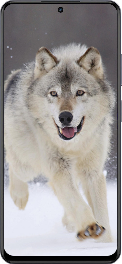 TPU чехол Бегущий волк для Realme 13+ 5G - 826b-3891 изображение 