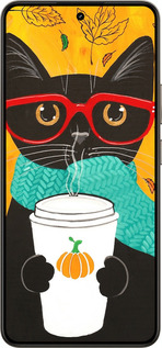 Силиконовый чехол Осенний кот для Realme 14 5G / 14T 5G - 4026u-4024 изображение 