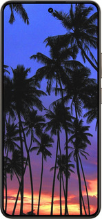 Силіконовий чехол Пальми для Realme 14 5G / 14T 5G - 4324u-4024 изображение 