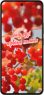 Силиконовый чехол Калина для Realme 14 5G / 14T 5G - 5454u-4024 изображение 