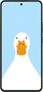 Силиконовый чехол Гусь для Realme 14 5G / 14T 5G - 6350u-4024 изображение 