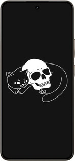 Силиконовый чехол С изображением кота и черепа для Realme 14 5G / 14T 5G - 6491u-4024 изображение 