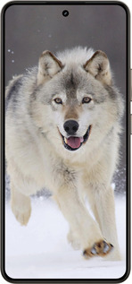 Силиконовый чехол Бегущий волк для Realme 14 5G / 14T 5G - 826u-4024 изображение 