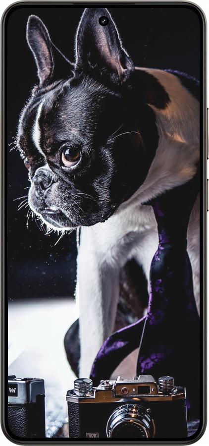 Силиконовый чехол Бульдог-фотограф для Realme 14 5G / 14T 5G - 142u-4024 изображение 