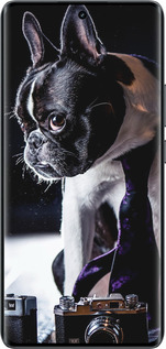 Силиконовый чехол Бульдог-фотограф для Realme 14 PRO + - 142u-3968 изображение 