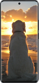 Силиконовый чехол Закат и собака для Realme 14 PRO + - 3966u-3968 изображение 