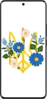 Силиконовый чехол Герб v3 для Realme 14 PRO + - 5265u-3968 изображение 