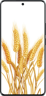 Силиконовый чехол Колоски пшеници для Realme 14 PRO + - 5866u-3968 изображение 