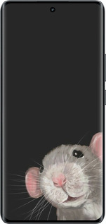Силіконовий чехол The Peeking Rat для Realme 14 PRO + - 6442u-3968 изображение 