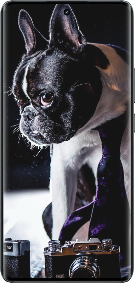 Силиконовый чехол Бульдог-фотограф для Realme 14 PRO + - 142u-3968 изображение 