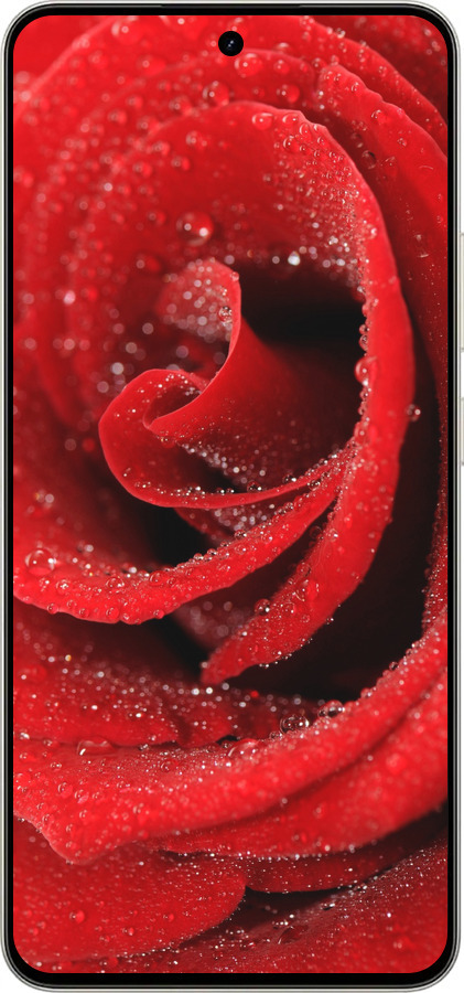 Силіконовий чехол Червона троянда для Realme 15 / 15 PRO - 529u-4137 изображение 