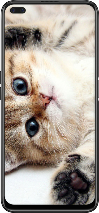 TPU чехол Котик для Realme 6 Pro - 6024b-1893 изображение 