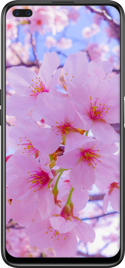 TPU чехол Сакура для Realme 6 Pro - 6029b-1893 изображение 