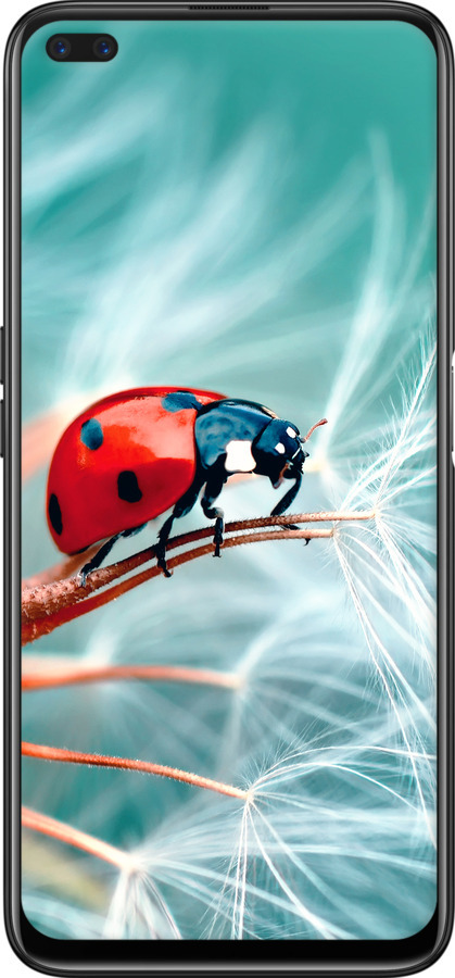 TPU чехол Божья коровка для Realme 6 Pro - 6049b-1893 изображение 