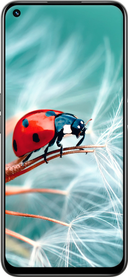 Силиконовый чехол Божья коровка для Realme 8i - 6049u-2518 изображение 