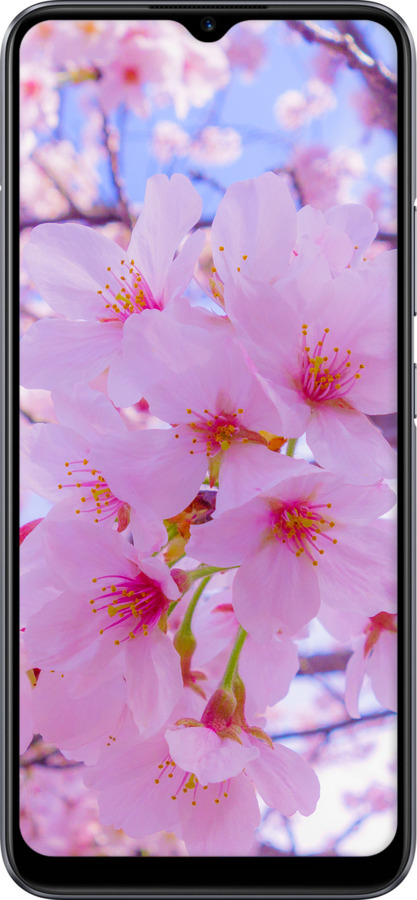 TPU чехол Сакура для Realme C11 2020 - 6029b-2031 изображение 