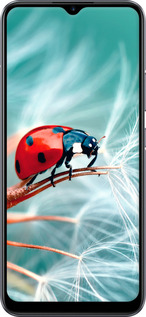 2D пластиковый чехол Божья коровка для Realme C11 2020 - 6049t-2031 изображение 