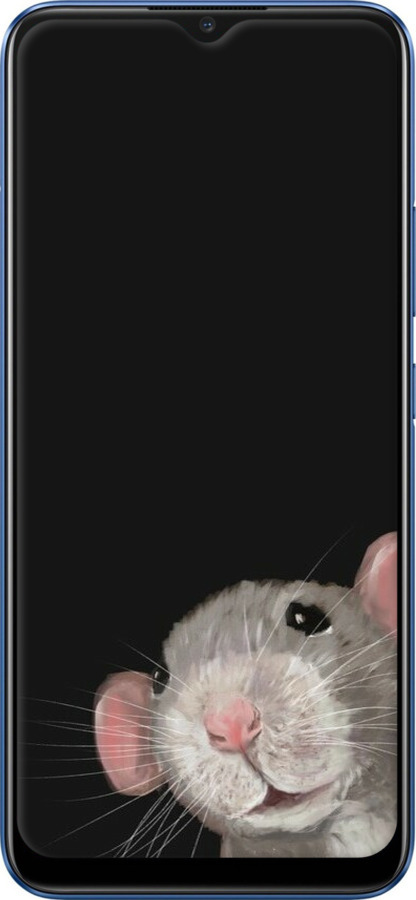 TPU чехол The Peeking Rat для Realme C15 - 6442b-2063 изображение 