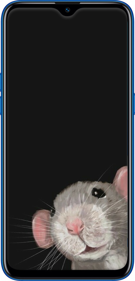 2D пластиковий чехол The Peeking Rat для Realme C2 - 6442t-1852 изображение 