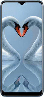 TPU чехол Лебеди для Realme C21 - 6007b-2321 изображение 